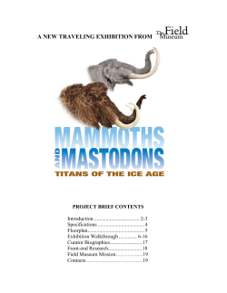 Mammoths and Mastodons: Giants of the Ice Age