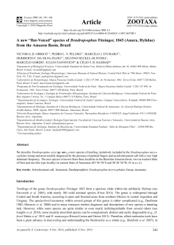 tree Frog - Magnolia press