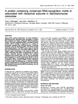 A protein containing conserved RNA