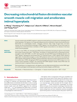 Mitochondria and Neointima Formation