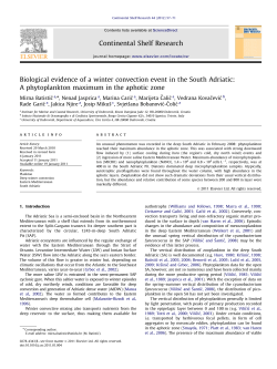 Biological evidence of a winter convection event in the South