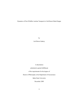 ii Dynamics of Post-Wildfire Aeolian Transport in Cold Desert Shrub