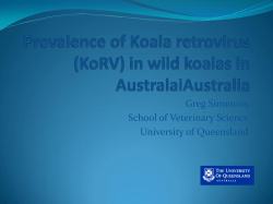 Prevalence of Koala retrovirus