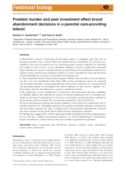 Predator burden and past investment affect brood abandonment