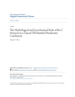 The Hydrological and Geochemical Role of the C Horizon in a