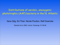 Distributions of aerobic, anoxygenic phototrophic (AAP) bacteria in