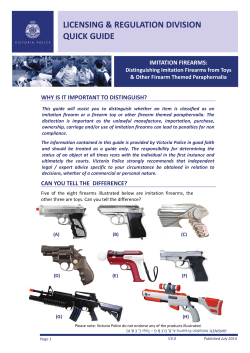 Quick Guide - Imitation toys and paraphernalia 3.0
