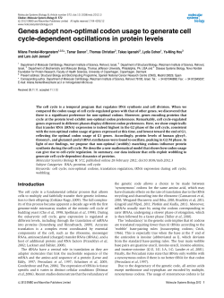 Genes adopt non‐optimal codon usage to generate cell cycle