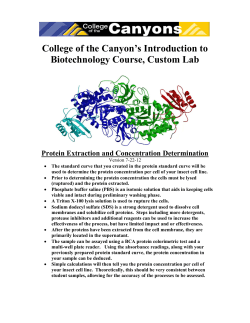 Protein Extraction - College of the Canyons