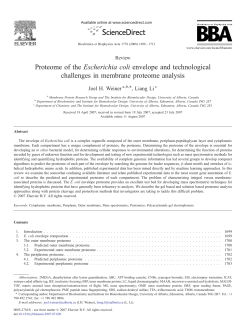 Proteome of the Escherichia coli envelope and technological
