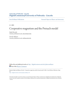 Cooperative magnetism and the Preisach model