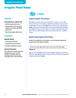 Irregular Plural Nouns - Benchmark Writer`s Workshop