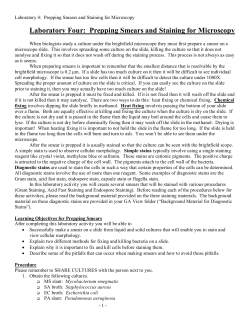 Laboratory Four - Clayton State University