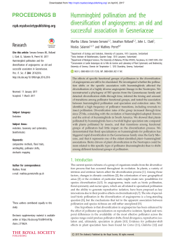 Hummingbird pollination and the diversification of angiosperms: an