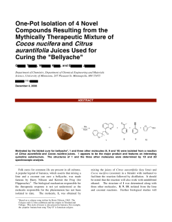 Example 1 - WordPress.com