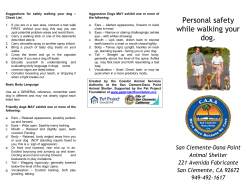 Personal safety while walking your dog.