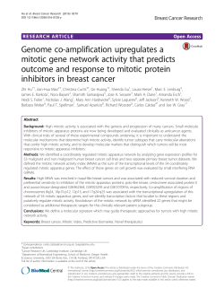 Genome co-amplification upregulates a mitotic gene network activity