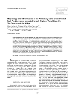 Morphology and Ultrastructure of the Alimentary Canal of the