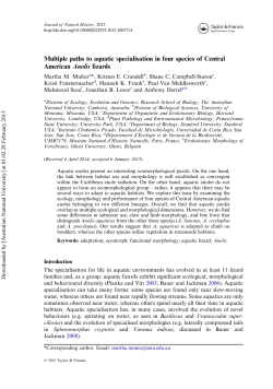 Multiple paths to aquatic specialisation in four