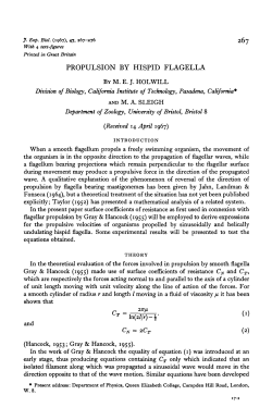 as a PDF