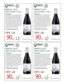 Mencia 2014 - Blue Ventures Wine Marketing