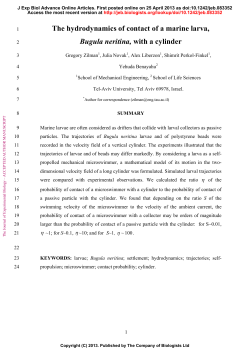 Hydrodynamics of contact of a marine larva Bugula nertina with a