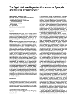 The Sgs1 Helicase Regulates Chromosome