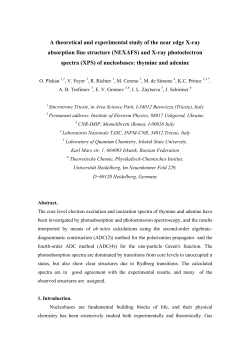 A theoretical and experimental study of the near edge X