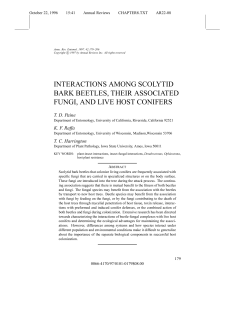 interactions among scolytid bark beetles, their associated fungi, and