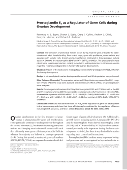 Prostaglandin E2 as a Regulator of Germ Cells during Ovarian