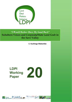 LDPI Working Paper - International Institute of Social Studies