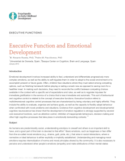 Executive Function and Emotional Development