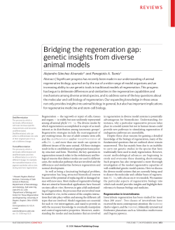 Bridging the regeneration gap