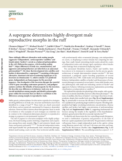 A supergene determines highly divergent male