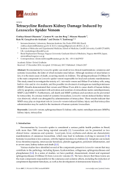 Tetracycline Reduces Kidney Damage Induced by Loxosceles