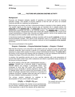 Enzyme Catalysis Lab