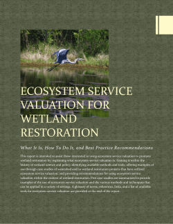 ECOSYSTEM SERVICE VALUATION FOR WETLAND RESTORATION