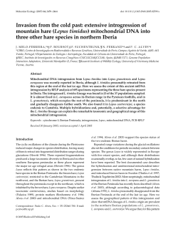 (Lepus timidus) mitochondrial DNA into three other hare sp