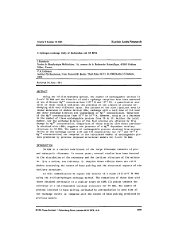 A hydrogen exchange study of Escherichia coli 5S RNA