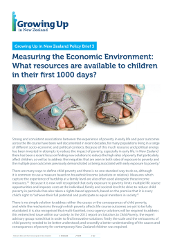 Measuring the Economic Environment: What resources are