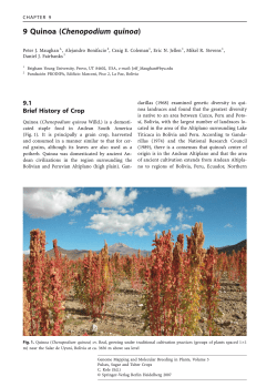 9 Quinoa (Chenopodium quinoa) - doc-developpement