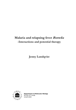 Malaria and relapsing fever Borrelia