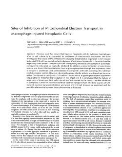 Sites of Inhibition of Mitochondrial Electron Transport in Macrophage