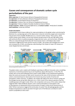 Causes and consequences of dramatic carbon cycle perturbations