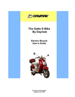 The Gatto E-Bike By Daymak