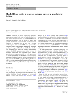 Hawksbill sea turtles in seagrass pastures: success in a peripheral