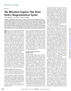 The Microbial Engines That Drive EarthLs Biogeochemical Cycles