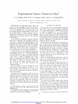 Experimental Gastric Tumors in Mice