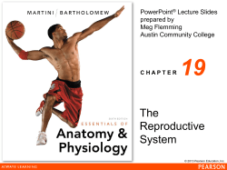 ch_19_lecture_presentation