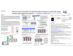 Rapid Chromatin Preparation from Solid Mammalian Tissues for